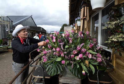 Hoezo naar de Keukenhof? Hier zijn 30.000 tulpen te zien en komen 13.000 bezoekers
