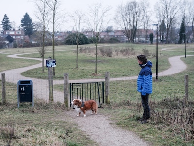 Waarom deze gemeente als enige geen hondenlosloopveld heeft, en hoe buurgemeenten het wél goedkoop regelen