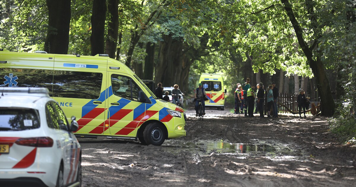 Ruiter van paard gevallen op Hoge Valksedijk in Wekerom, traumahelikopter gealarmeerd