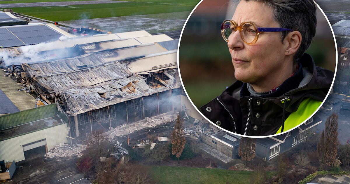 Terwijl enorme brand in Rutten witlof na witlof verwoest, denkt ...