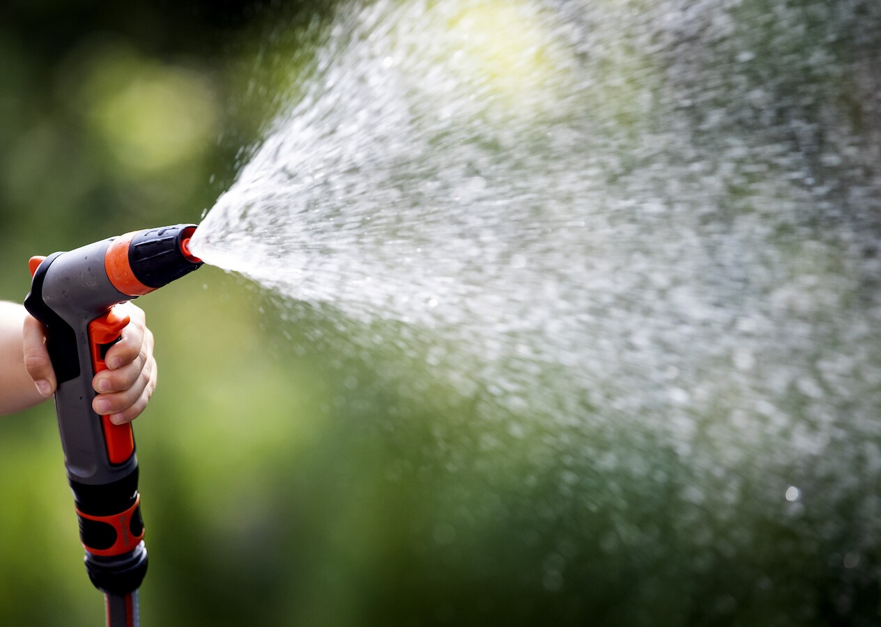 Tuinrangers geven inwoners Venray advies voor groenere ...
