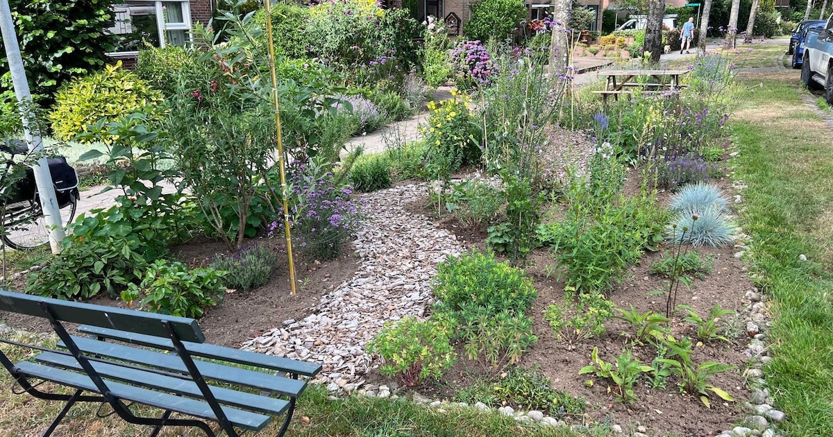 Nieuwe Ik buurt mee!-waardecheque in Rheden beschikbaar