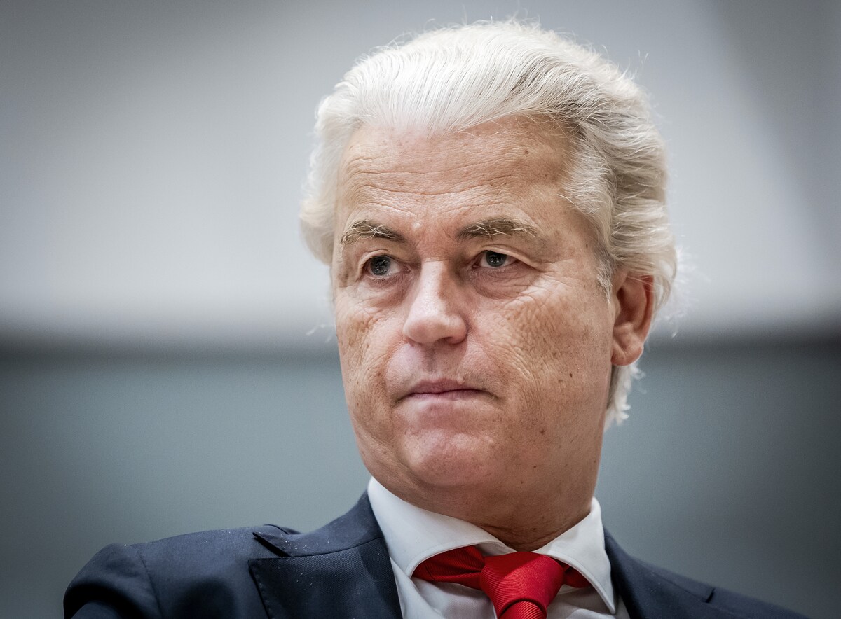 Is Wilders écht op ramkoers? 'Als hij dit op het spel zet gaat geen partij nog snel met hem samenwerken' | Politiek | De Gelderlander.nl
