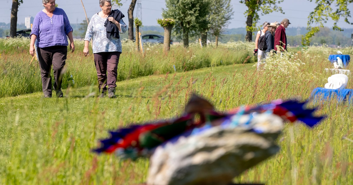 Kunst en natuur komen samen in Wageningen