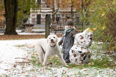 Morgen weer wakker worden in een witte wereld? Nog één keer kans op sneeuw