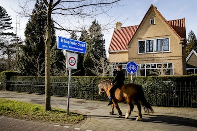 Geen eigen huis of bedrijf? Dan is de kans klein dat je miljonair wordt