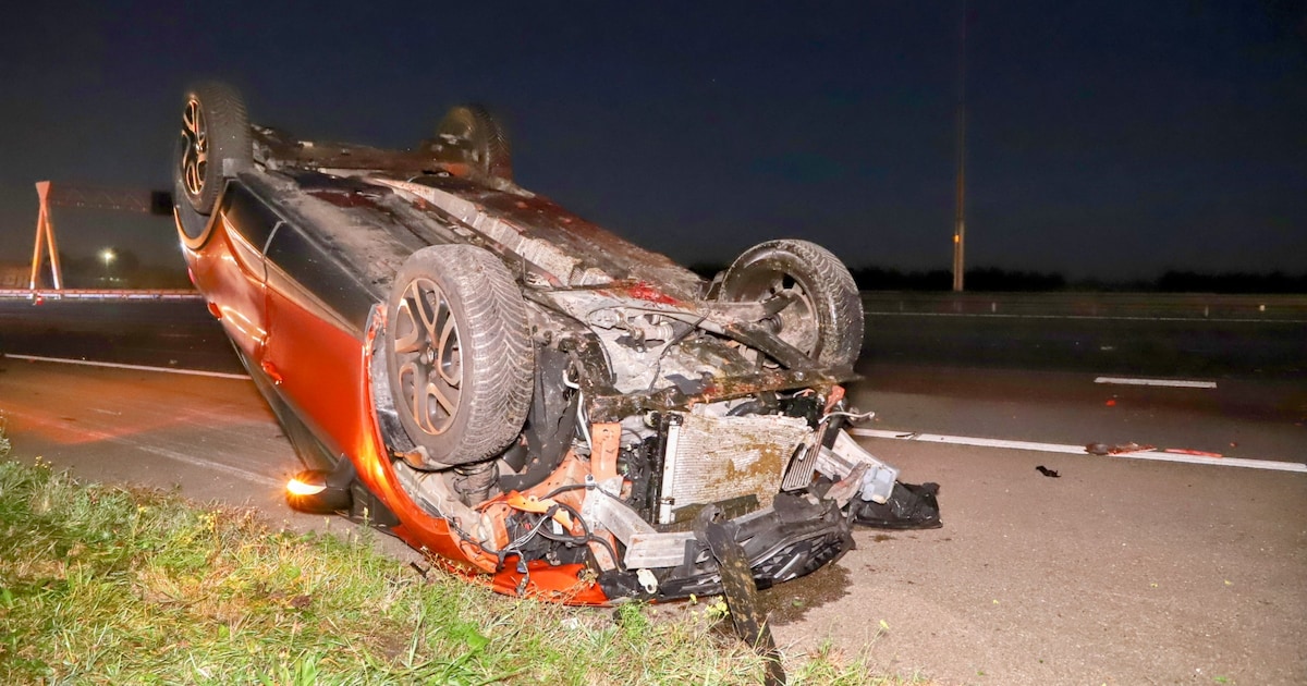 Paard dood door aanrijding op de A2.
