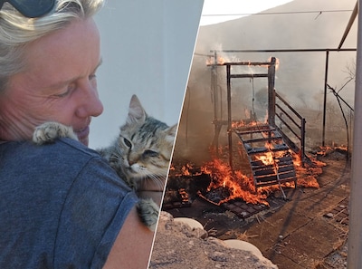 Bosbrand op Grieks eiland vernietigt opvang van 300 dieren: stichting uit Achterhoek helpt met inzamelactie