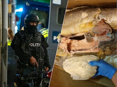 Hoe rottende vis politie op het spoor van cocaïnebende zette: ‘Hij zag wat raars bij de ruggengraat’