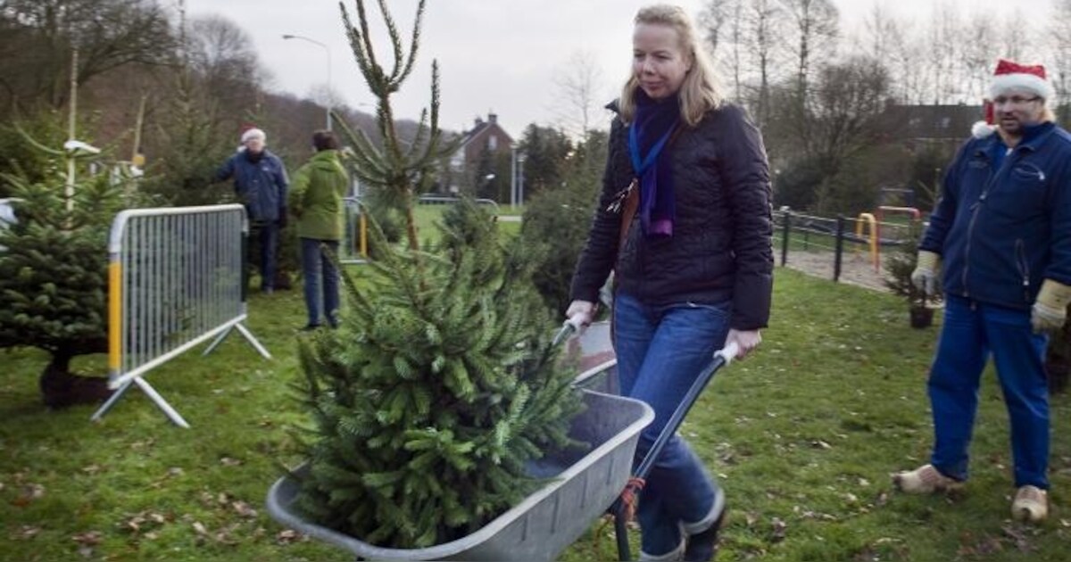 Heveadorp heeft zijn kerstboom weer uitgezocht