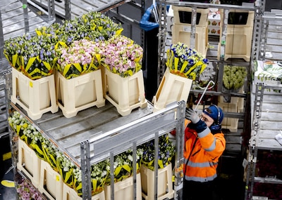 Grote gevaren voor mensen die met geïmporteerde bloemen werken, zegt NVWA: risico op huidirritatie en kanker