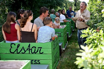 Aan boord van de Elstar Express vertelt Meester Kees (72) honderduit over fruit