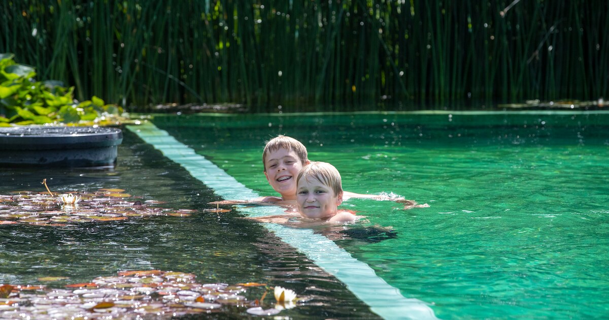 Natuurgezuiverd buitenbad De Peppel mag weer open na gedwongen sluiting ...