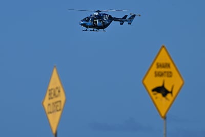 Australische jongen (12) in kritieke toestand na haaienaanval in haven van Sydney