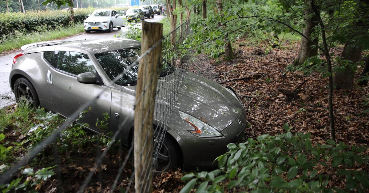 Sportwagen belandt in hekwerk langs Europaweg in Ugchelen