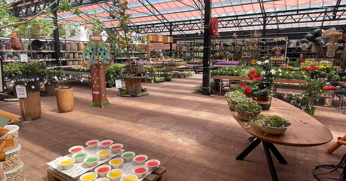 Afzien in tuincentrum in Veldhoven: ‘Sommige planten trekken het niet’