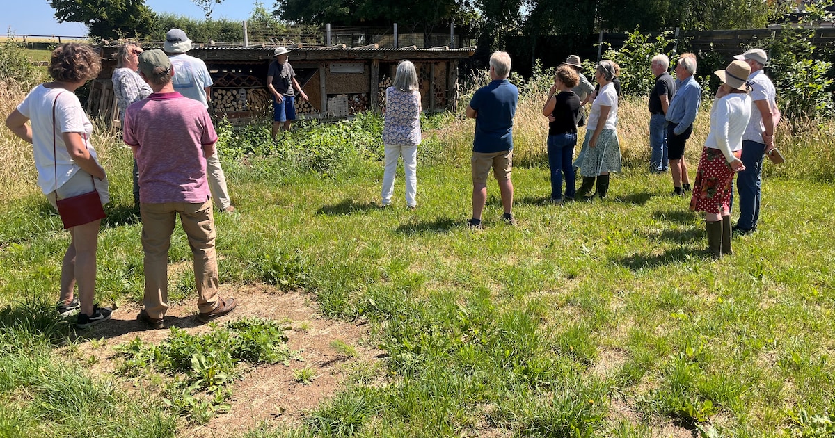 Open Erf in Groesbeek toont biodiversiteit