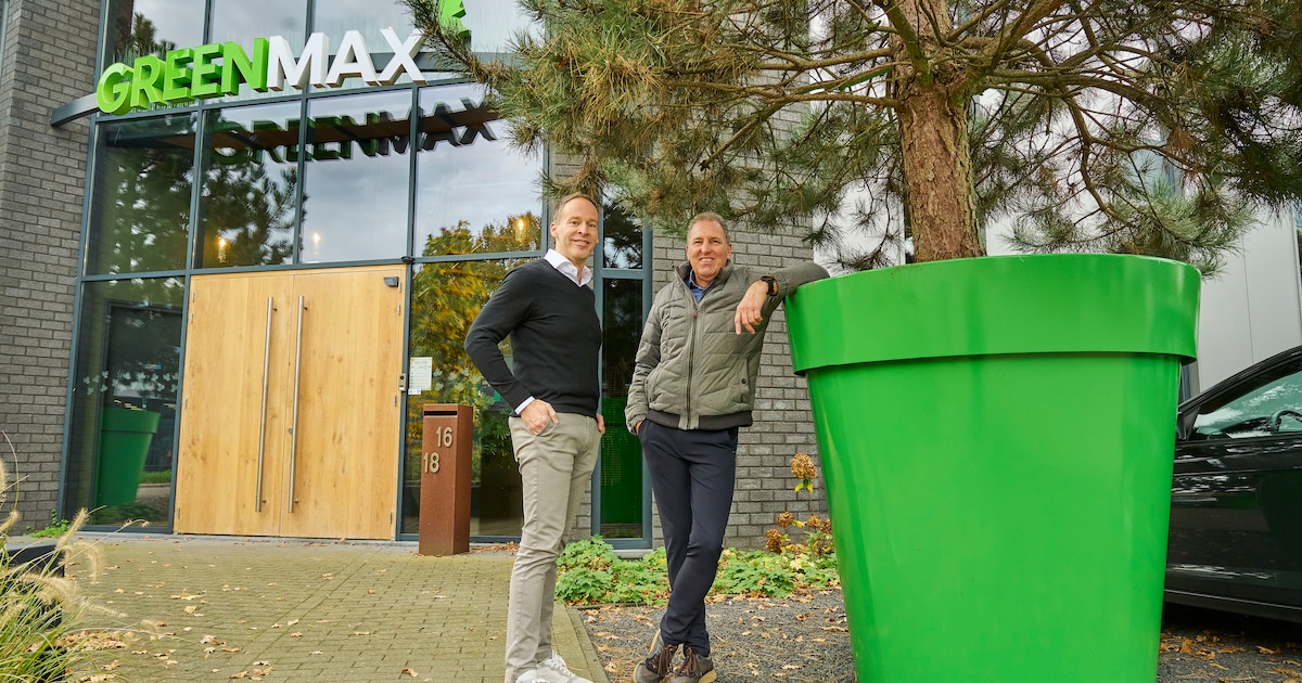 Hoe een Brabants bedrijf wereldwijd bomen gezond houdt tussen beton en asfalt