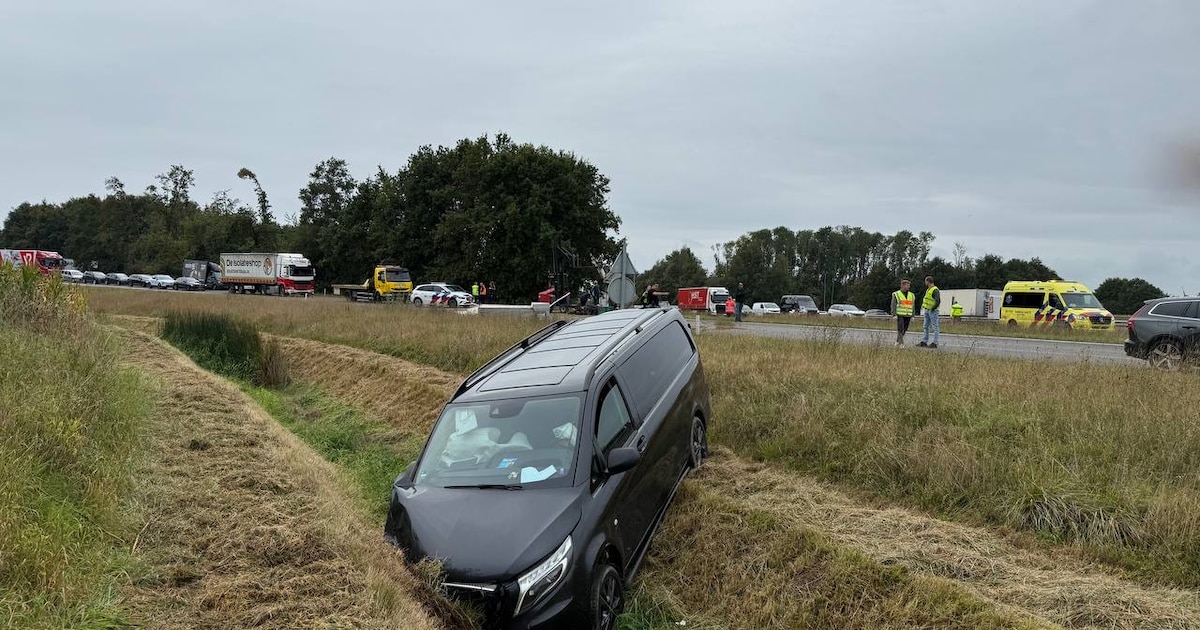 Paard ‘uit trailer geslingerd’ bij ongeluk op A18: dier overleeft crash niet.