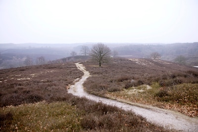 Winterwandeling met gids op de Veluwezoom