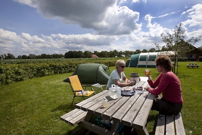 Lokaal zomers warm, rest van de week verloopt vrij droog