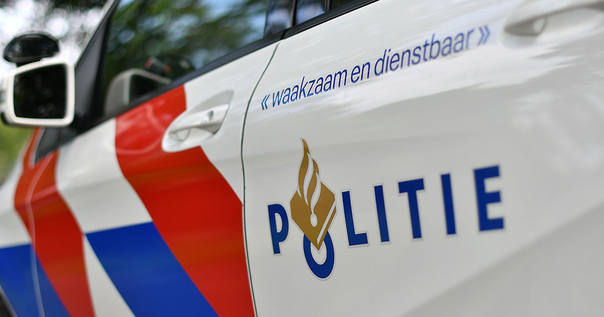Agenten in kogelwerende vesten houden jongens (13) met ‘vuurwapens’ aan in Tilburg: vermoedelijk op 