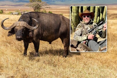 Amerikaanse miljonair (52) gedood door buffel waarop hij aan het jagen was in Zuid-Afrika