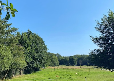 Utrechts Landschap koopt natuurgebied in Den Dolder