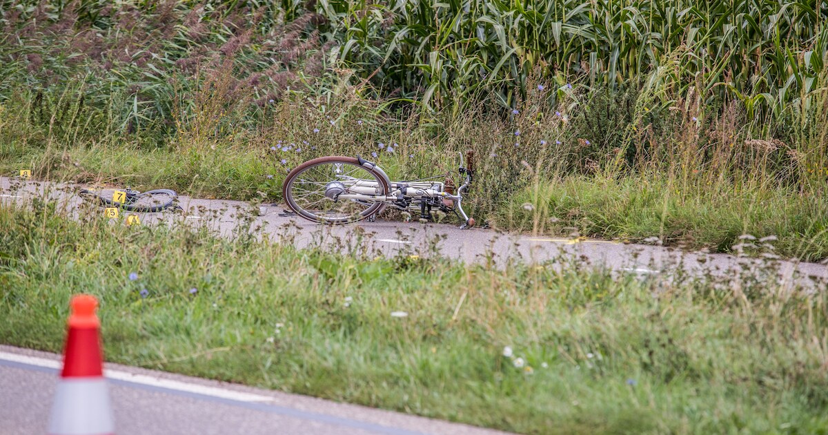 Scholiere (11) overlijdt nadat automobilist haar schept op fietspad in Persingen