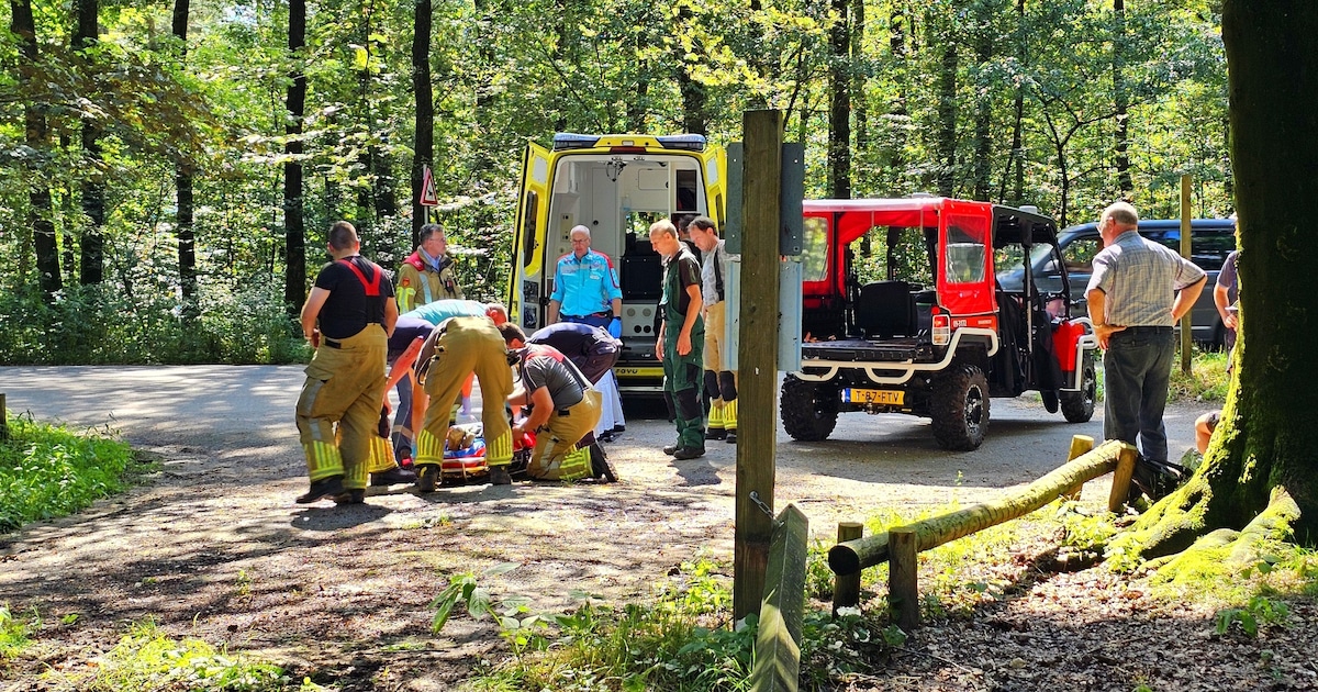 Mountainbiker komt hard ten val, speciaal voertuig nodig om hem uit bos ...