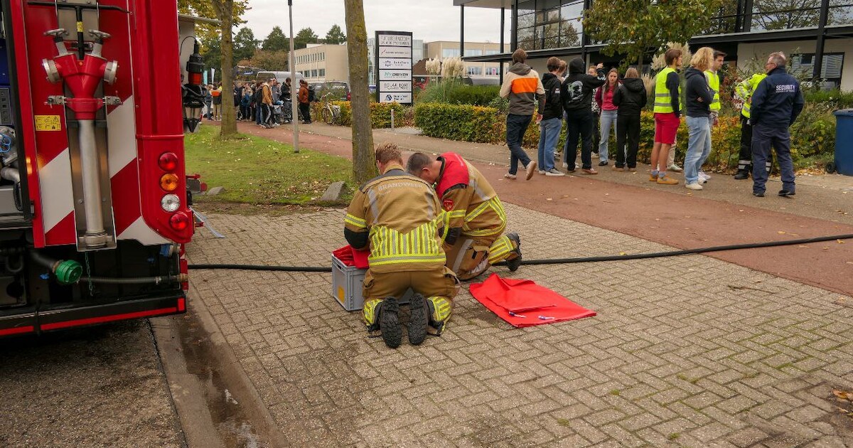 Krone › Maaien met maximale capaciteit | - Mechanisatienieuws voor de landbouw en