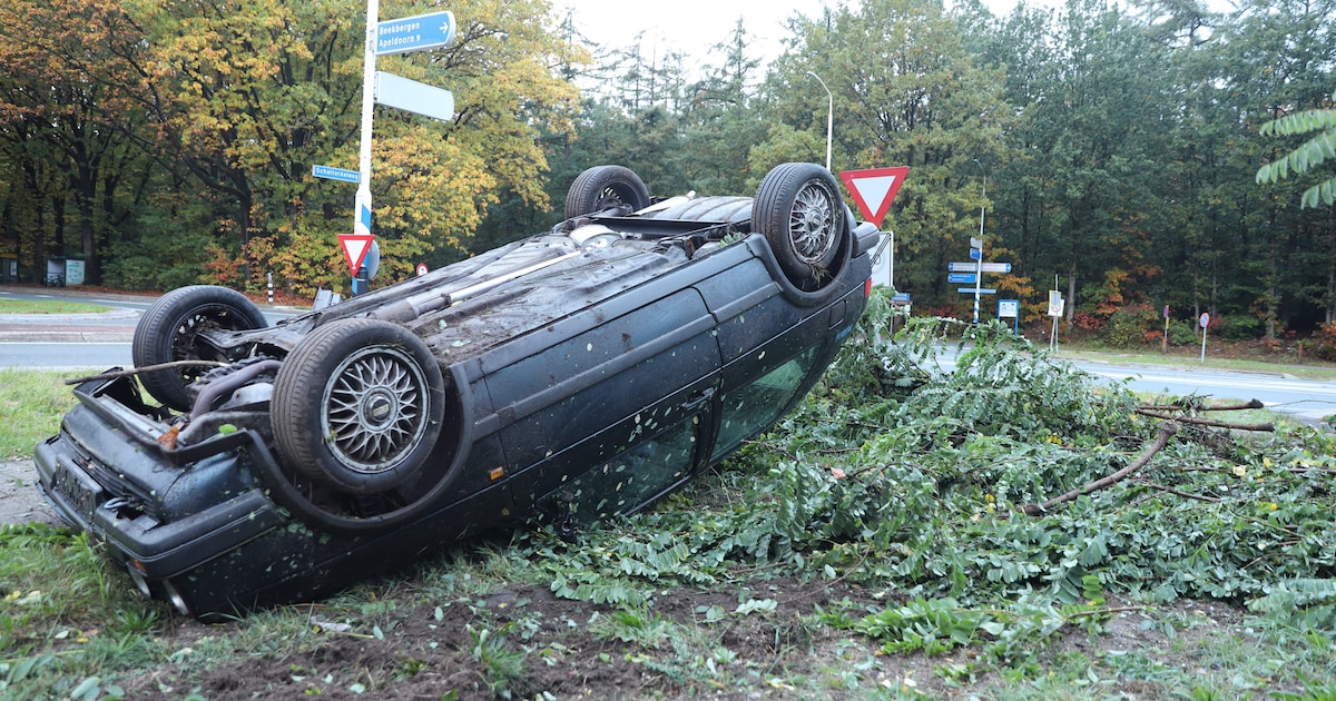 Auto slaat bij Beekbergen over de kop en belandt in de bosjes