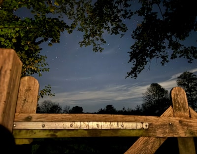 Vrijwilligers houden nachtwandeling in Natuurpark Overstegen in Doetinchem