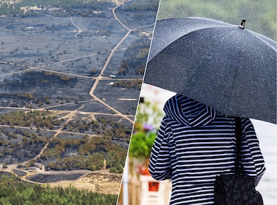 Regen van dit weekend verdampt snel, zegt onderzoeker: risico op natuurbranden blijft hoog