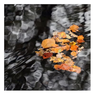 Expositie Fotokring De Liemers in Zevenaar