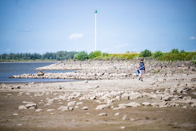 Rijn gaat naar nieuw laagterecord: de droogte houdt aan en zorgt voor ongekende voorspelling