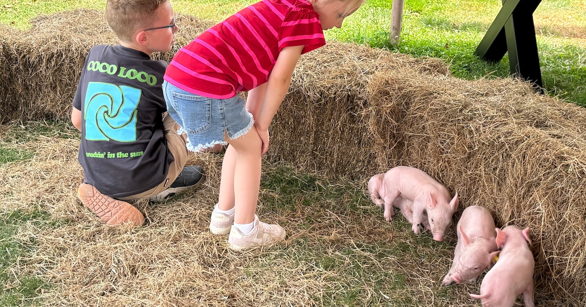Boert Bewust en The Pig Story bekrachtigen samenwerking in Horssen