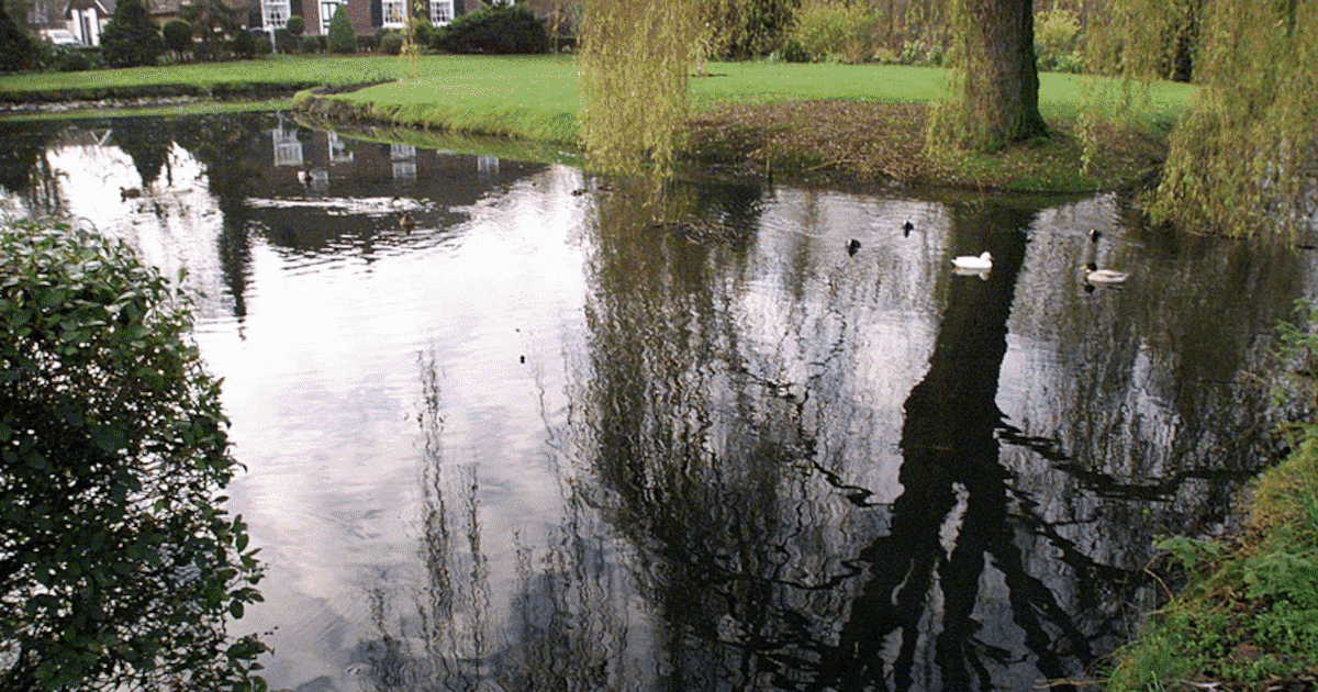 nieuwegein-laat-zich-van-z-n-mooiste-kant-zien-met-fietstocht-langs-23