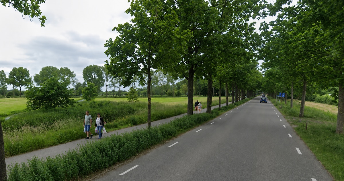 Rijndijk in Haarzuilens twee dagen deels afgesloten vanwege werkzaamheden