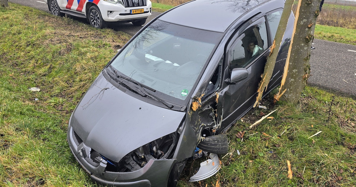 Auto rijdt zijwaarts bovenop boom langs Overlaat in Wadenoijen