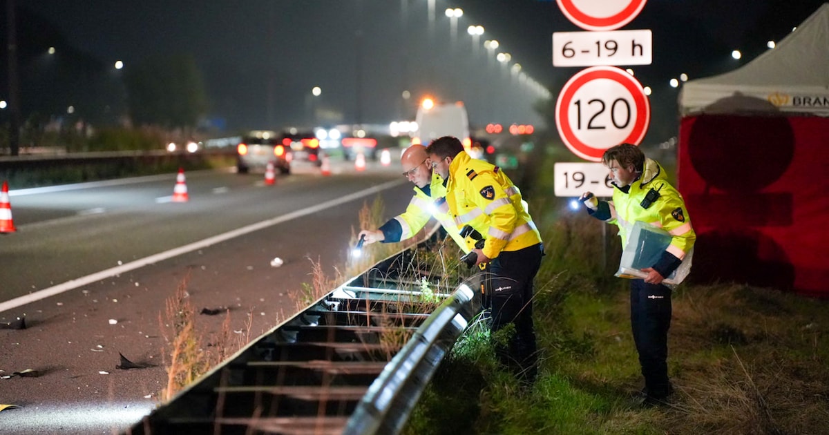 Vrouw steekt A59 over en overlijdt bij aanrijding.