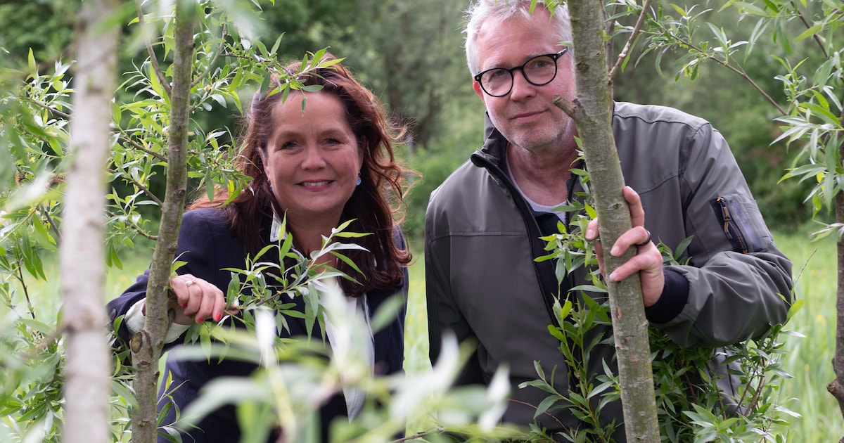 Natuurcentrum De Kaardebol verdwijnt, nu lonken twee scholen naar de locatie tussen de orchideeën