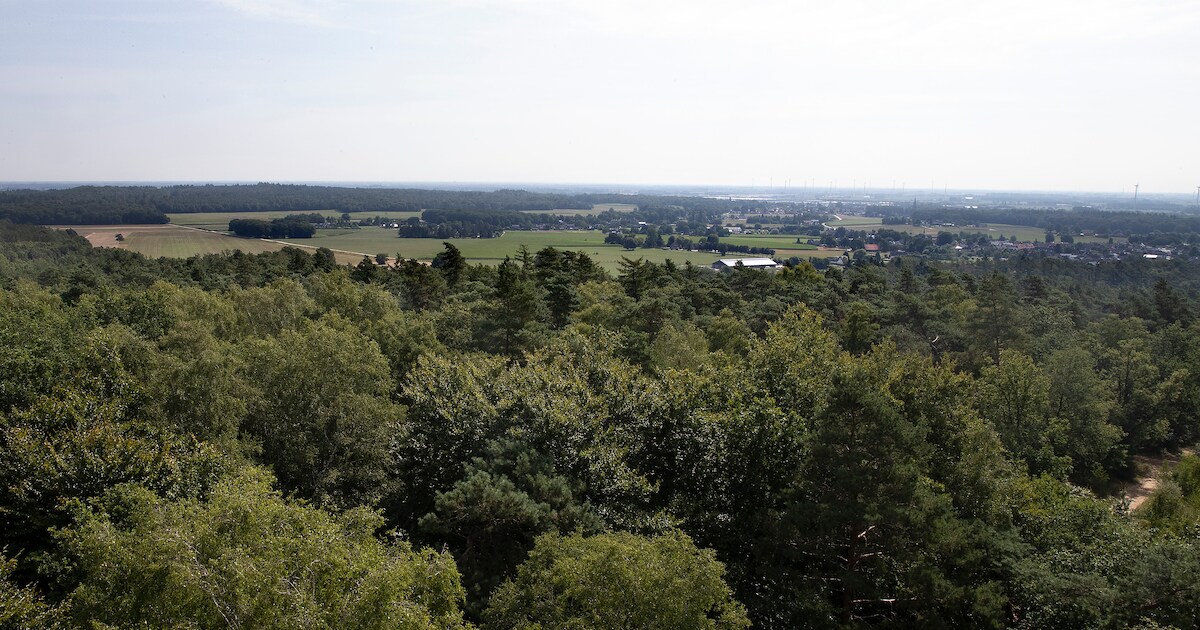 Ik slenterde in m’n uppie door het Zinnenprikkelende Monsterland