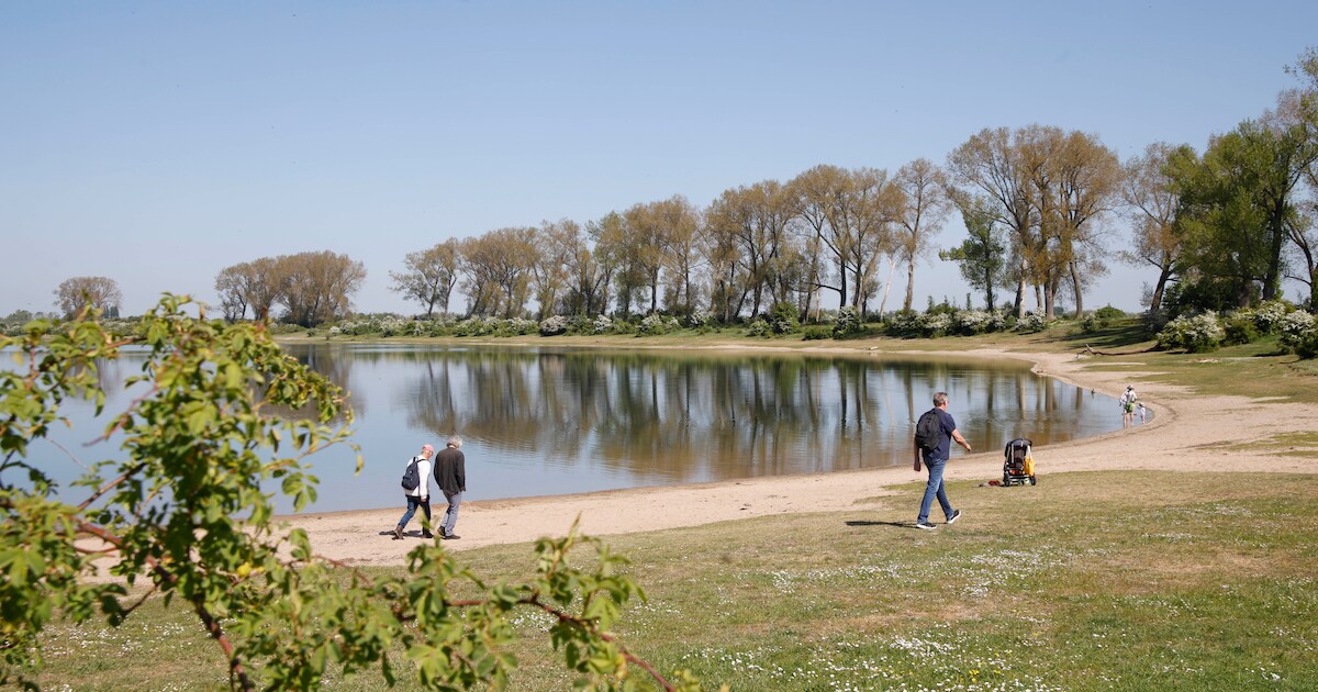 Dode vissen en algen: beter even niet zwemmen in de Bisonbaai | Regio ...
