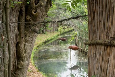 Eendekooi bezoeken in Batenburg