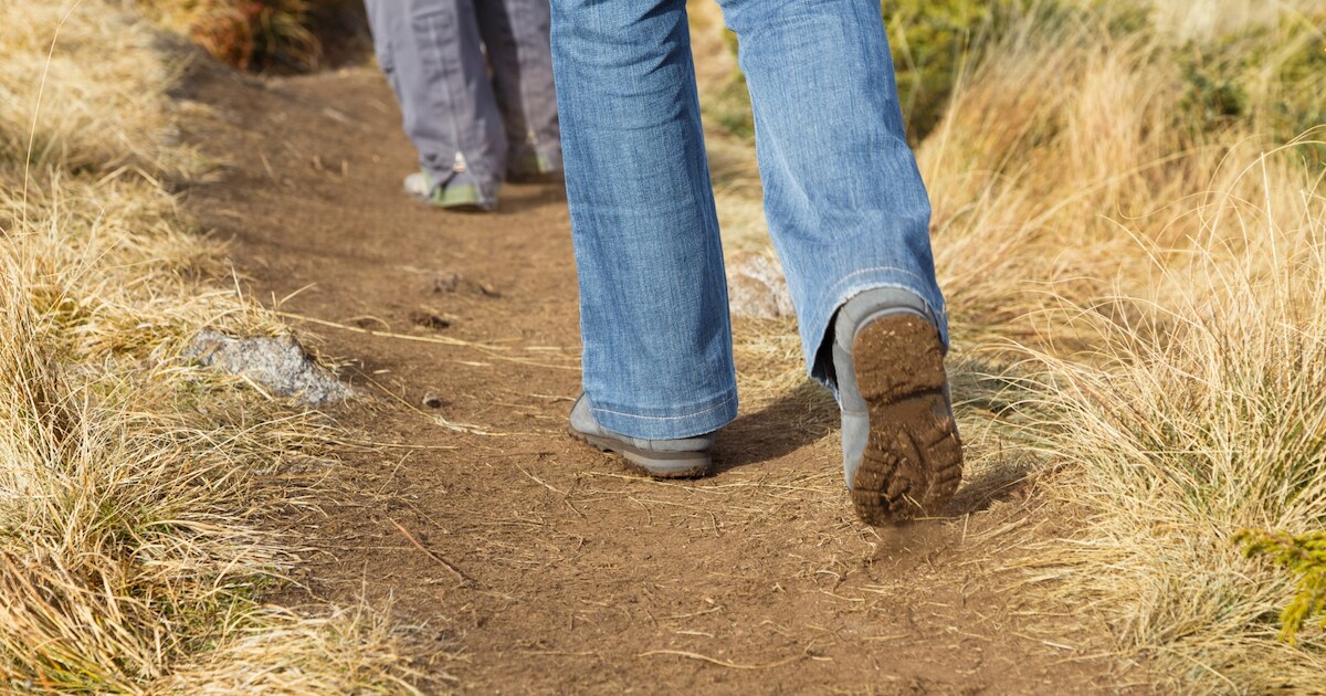 Doe mee met de Stap voor Stap Wandeling: Geniet van natuur en koffie in Venlo