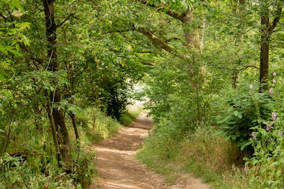 Grensoverschrijdende wandeling door het Rietbroek in Stokkum