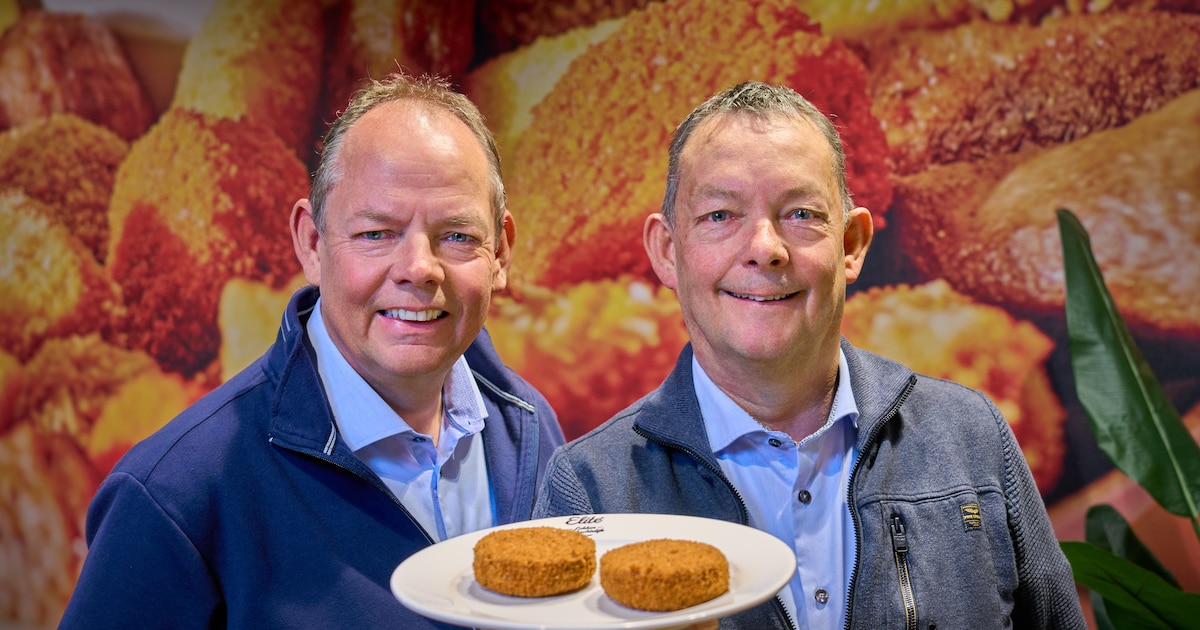 Broers bouwen miljoenenbedrijf met snacks, maar blijven ‘gewoon Harry ...