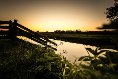 Hoge temperaturen voor december: ‘Winterkou is ver te zoeken’