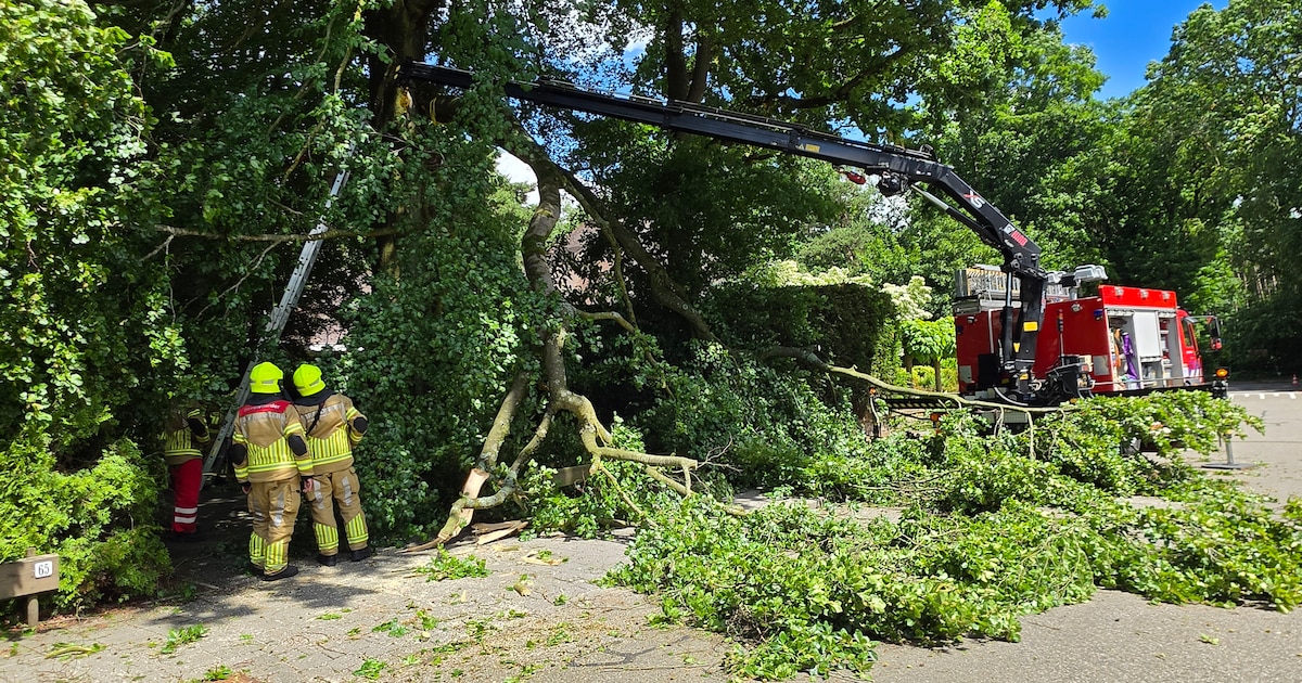 Weg afgesloten in Bennekom vanwege gevaarlijk hangende boomtak